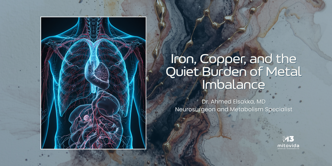 Iron, Copper, and the Quiet Burden of Metal Imbalance