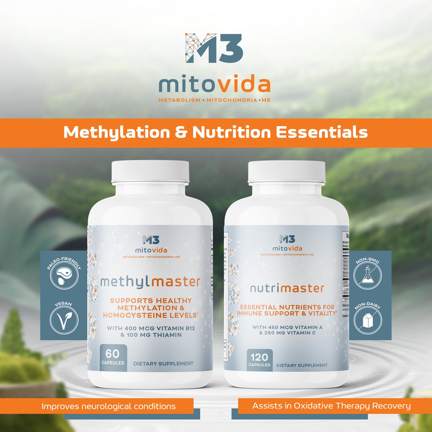 Methylation & Nutrition Essentials